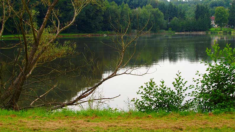 JB Carp Cup Výlanta 2019