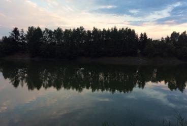 Trojecka